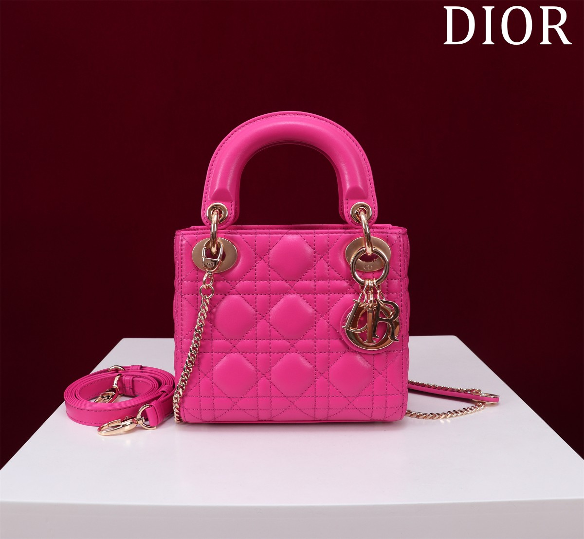 CHRISTIAN Dior  Lady Dior Shoulder crossbody hand Bag