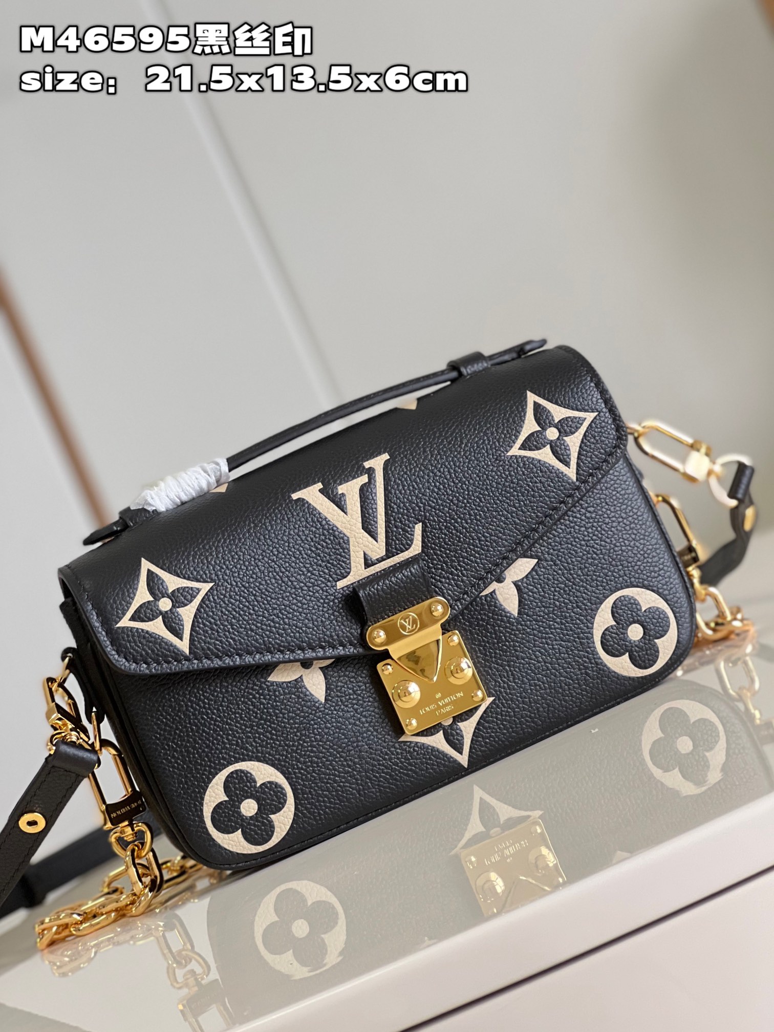 Louis Vuitton M46596 Pochette Métis East West